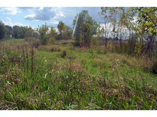 Property photo 62 - EHLE FARMS AUCTION - 118+/- ACRES IN 9 TRACTS IN ALLEN COUNTY, INDIANA